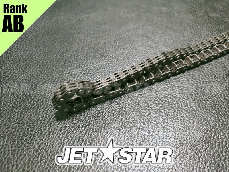 Used 420297086 CAMSHAFT CHAIN [X2401-65]
