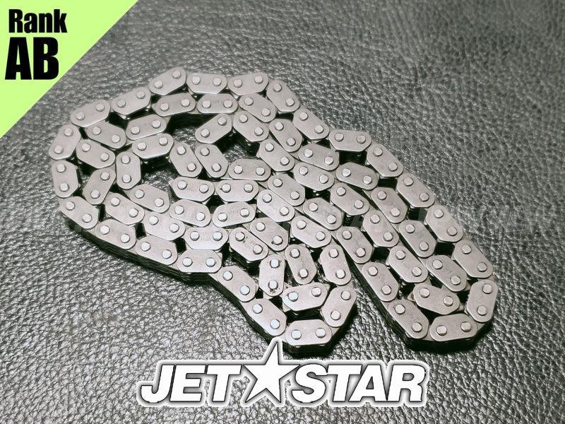 Used 420297086 CAMSHAFT CHAIN [X2401-65]