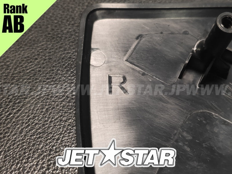 Used 269502428 DEEP BLACK, RH MIRROR COVER [X2402-15]