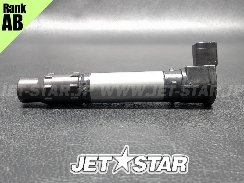 Used 420664020 IGNITION COIL [X2405-77]
