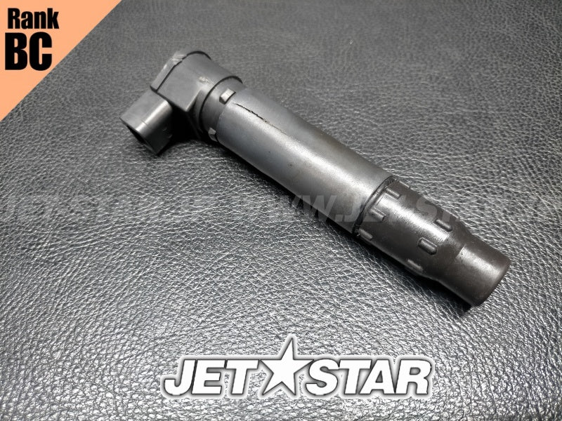 Used 420664020 IGNITION COIL [X2405-79]