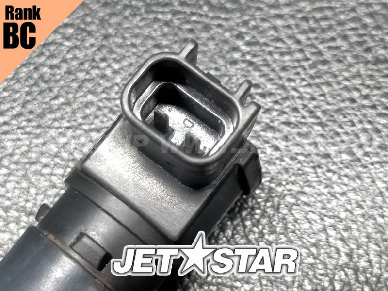 Used 420664020 IGNITION COIL [X2405-80]