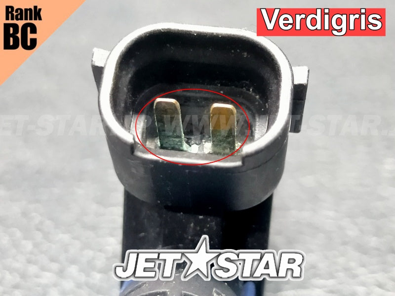 Used 420874846 INJECTOR [X2406-69]