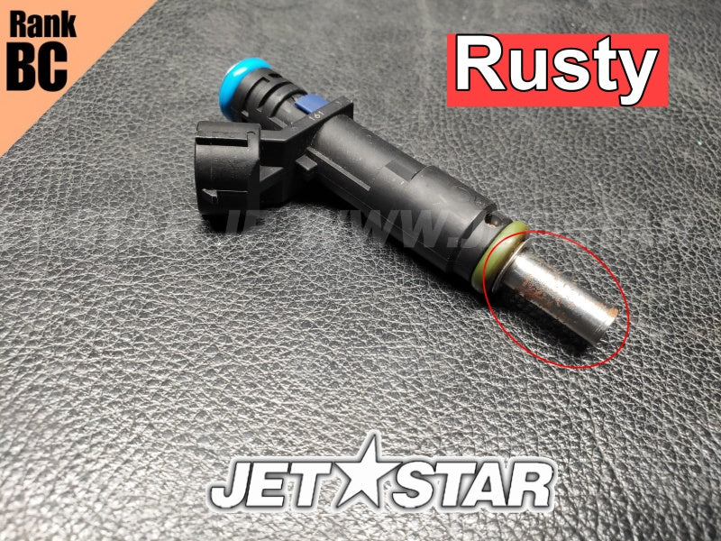 Used 420874846 INJECTOR [X2406-70]
