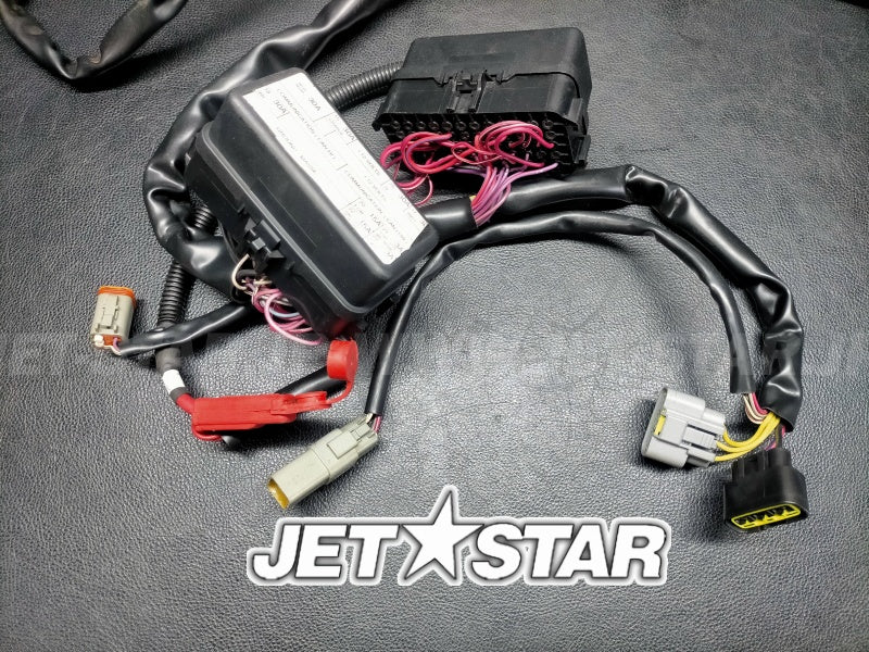 Used 278002398 WIRING HARNESS MAIN (WITH DEFECT) [X2408-60]
