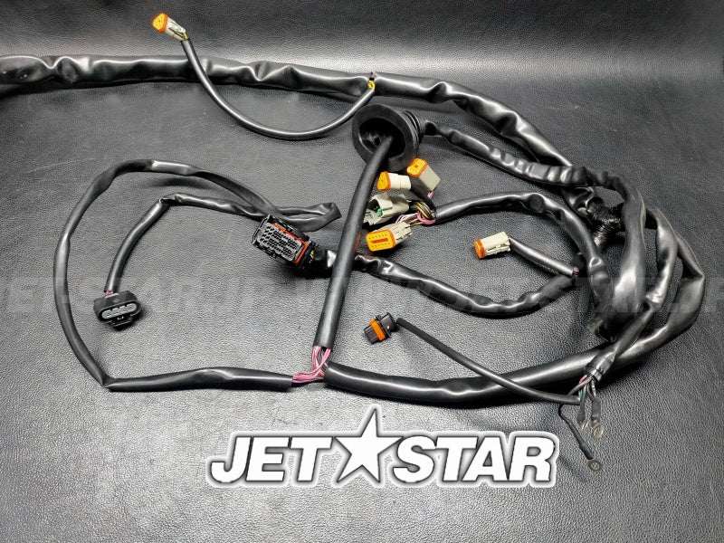 Used 278002398 WIRING HARNESS MAIN (WITH DEFECT) [X2408-60]