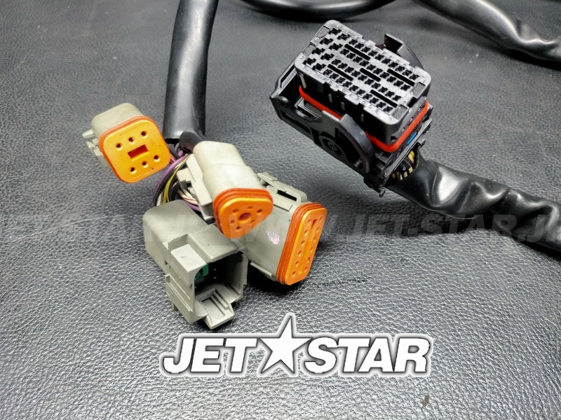 Used 278002398 WIRING HARNESS MAIN (WITH DEFECT) [X2408-60]