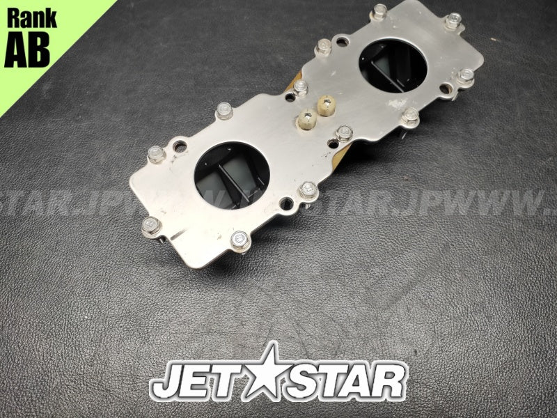 Used 66E-13610-00-00 REED VALVE ASSY [Y0861-02]