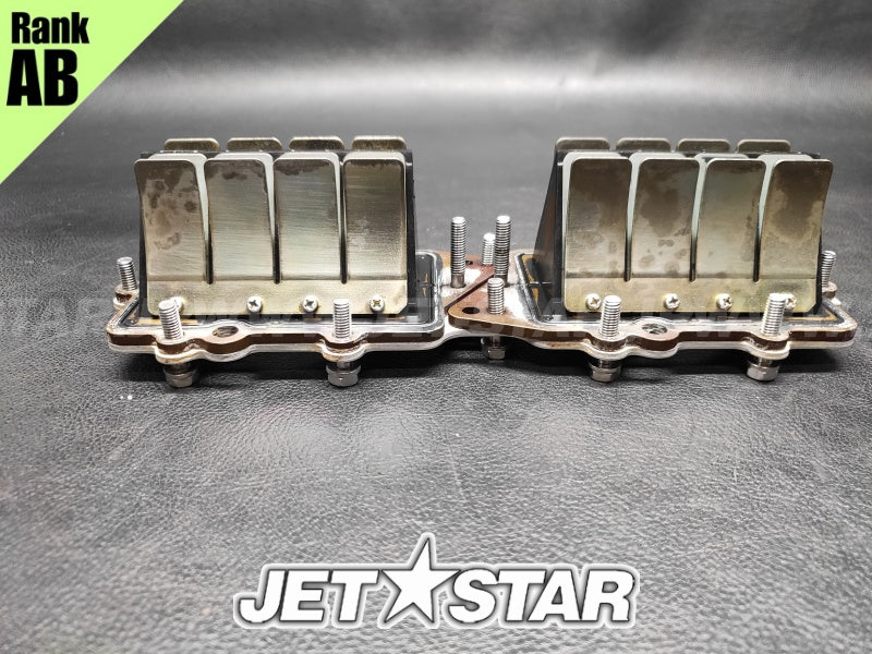 Used 66E-13610-00-00 REED VALVE ASSY [Y0861-02]