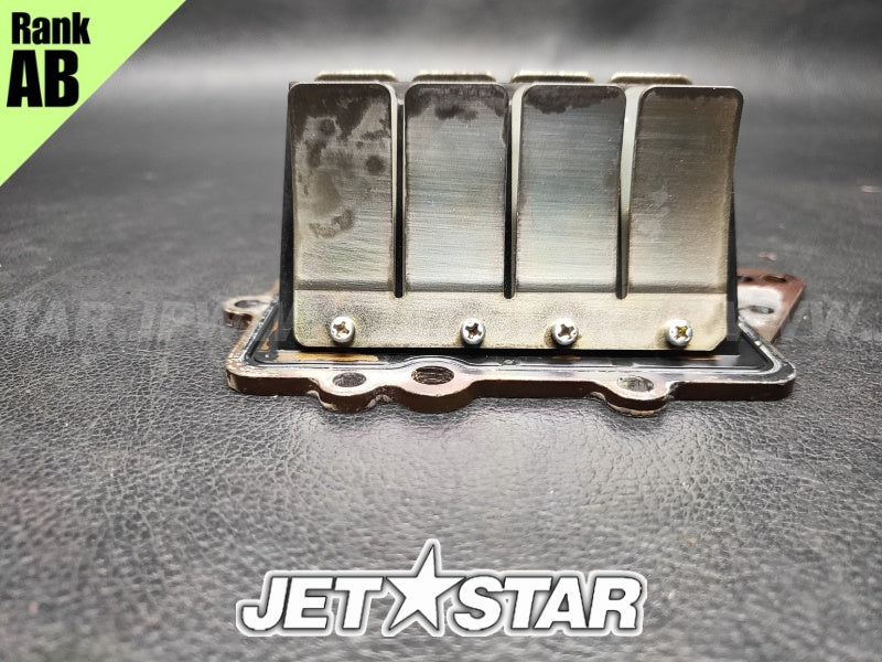 Used 66E-13610-00-00 REED VALVE ASSY [Y0861-02]