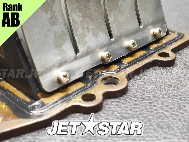 Used 66V-13610-00-00 REED VALVE ASSY [Y1574-40]