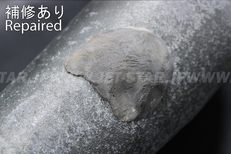 Used 18180-3724 BODY-MUFFLER [K1808-44]