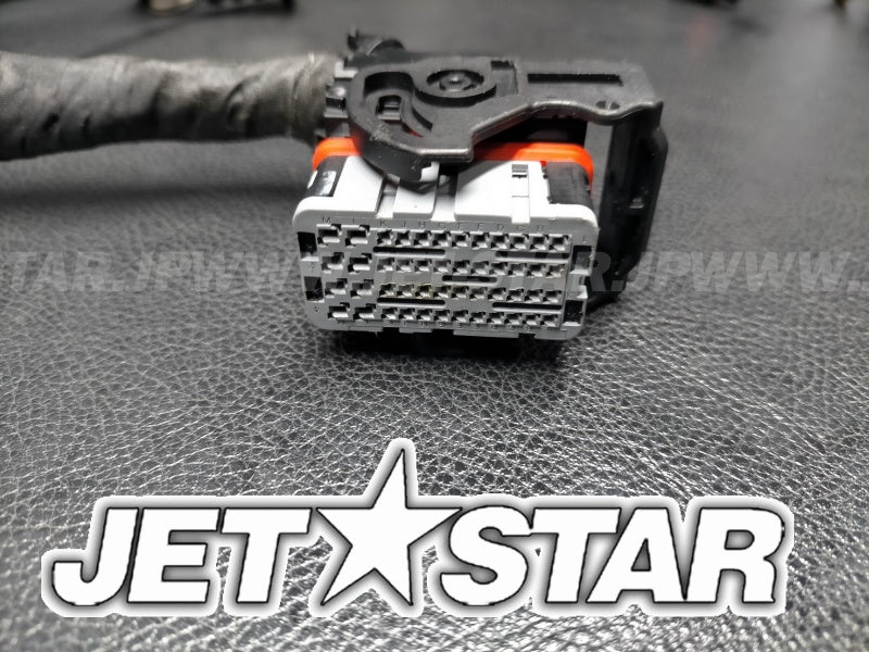 Used 420665206 ENGINE WIRING HARNESS ASS'Y [S0565-29]