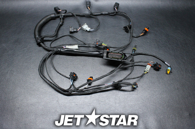 Used 420664056 WIRING HARNESS ASS'Y [S0972-52]