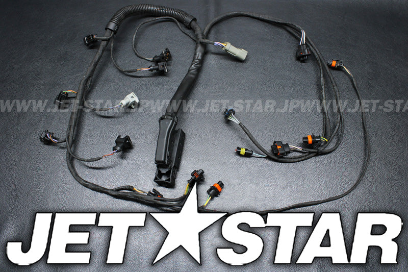 Used 420665205 ENGINE WIRING HARNESS ASS'Y [S0973-28]