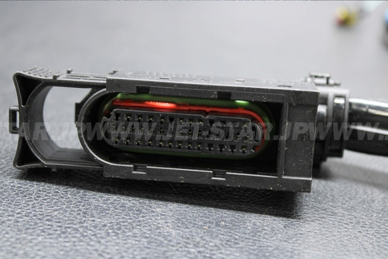 Used 420665205 ENGINE WIRING HARNESS ASS'Y [S0973-28]
