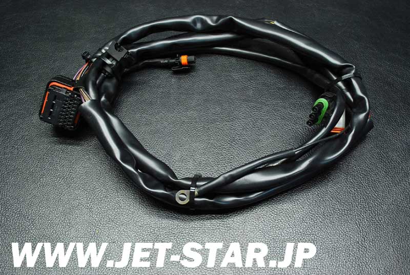 Used 278001394 REAR HARNESS [S101-044]
