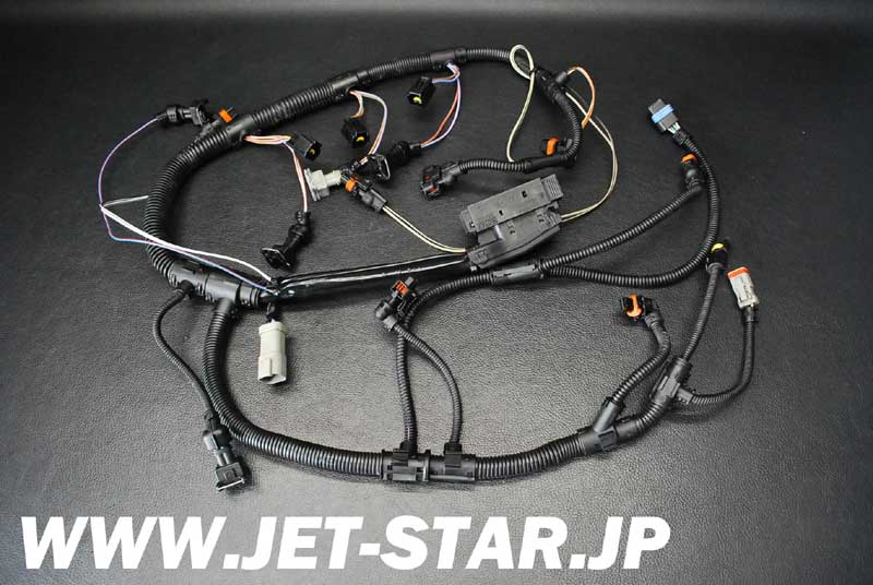 Used 420664056 WIRING HARNESS ASS'Y [S111-069]