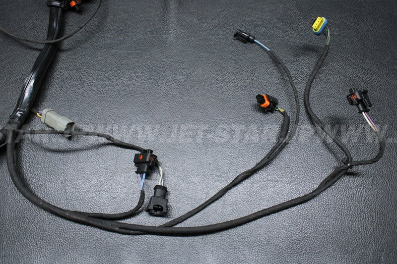 Used 420665205 ENGINE WIRING HARNESS ASS'Y [S1169-14]