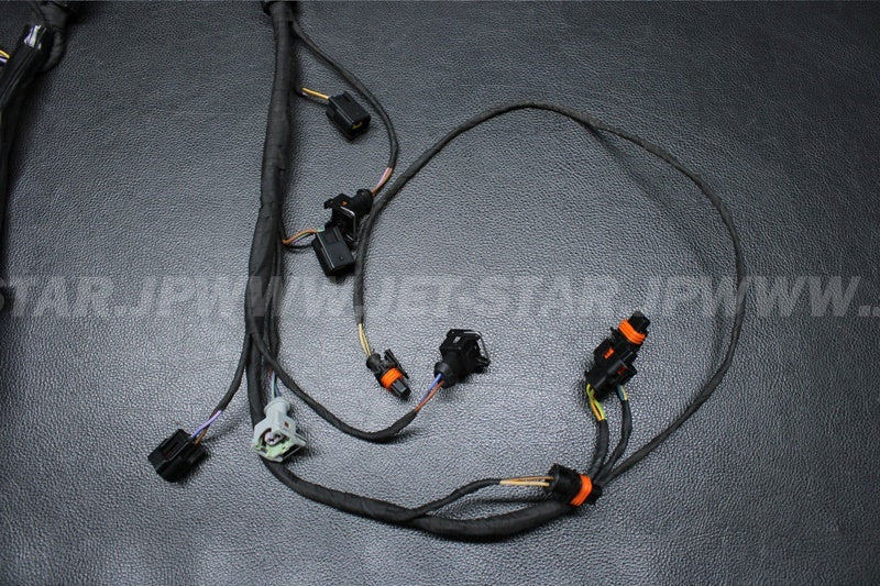 Used 420665205 ENGINE WIRING HARNESS ASS'Y [S1169-14]