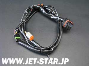 Used 278001394 REAR HARNESS [S169-060]