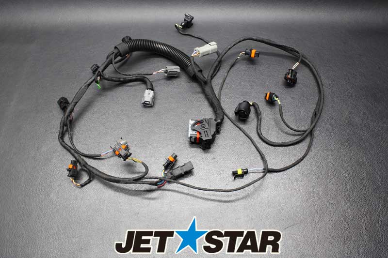 Used 420864220 ENGINE WIRING HARNESS ASS'Y [S174-038]