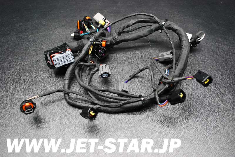 Used 420864220 ENGINE WIRING HARNESS ASS'Y [S196-084]