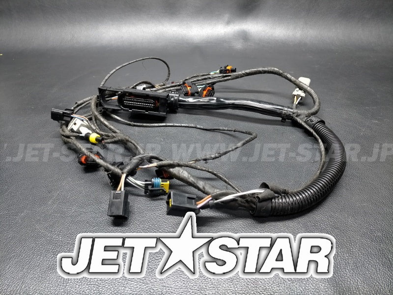 Used 420665205 ENGINE WIRING HARNESS ASS'Y [S2200-19]