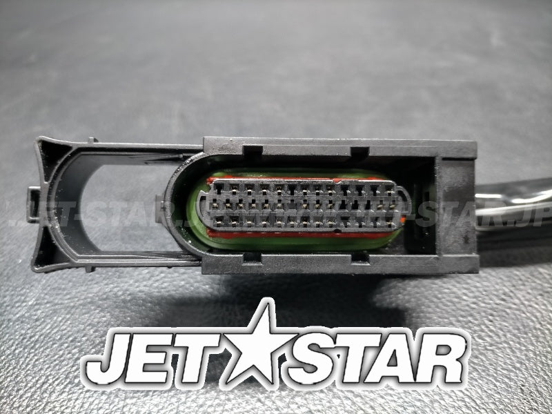 Used 420665205 ENGINE WIRING HARNESS ASS'Y [S2200-19]