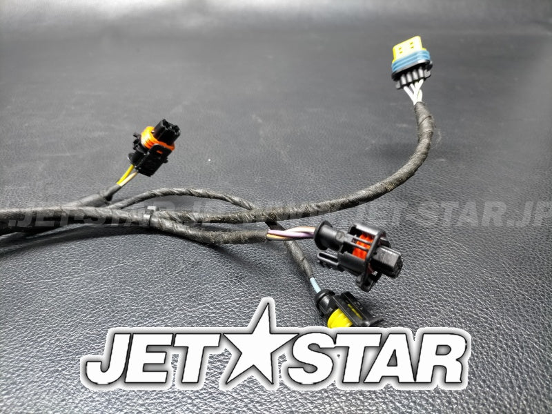 Used 420665205 ENGINE WIRING HARNESS ASS'Y [S2200-19]