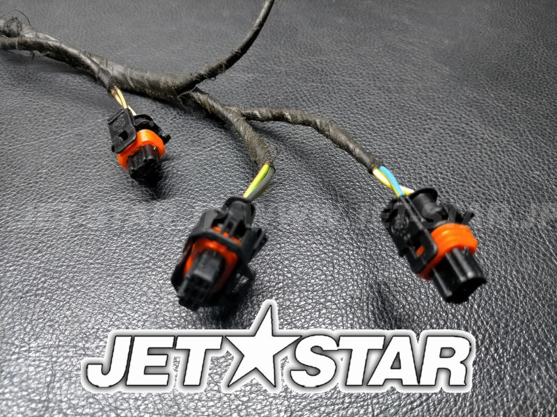 Used 420665205 ENGINE WIRING HARNESS ASS'Y [S2200-19]