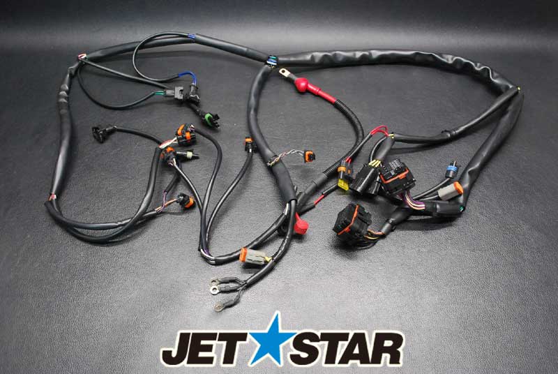 Used 278001800 WIRING HARNESS [S223-058]