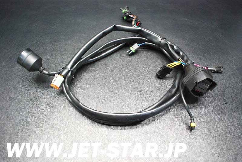 Used 278001088 REAR HARNESS [S244-071]