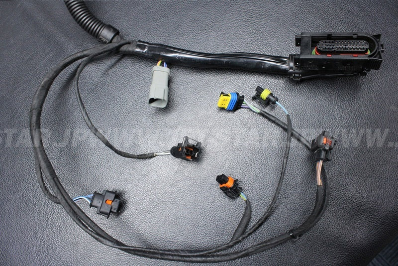 Used 420665205 ENGINE WIRING HARNESS ASS'Y [S2547-30]