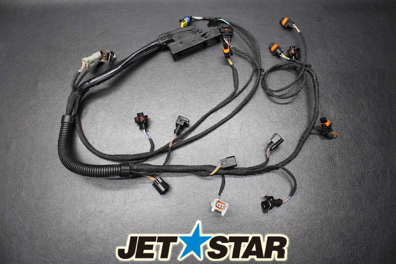 Used 420665205 ENGINE WIRING HARNESS ASS'Y [S258-055]