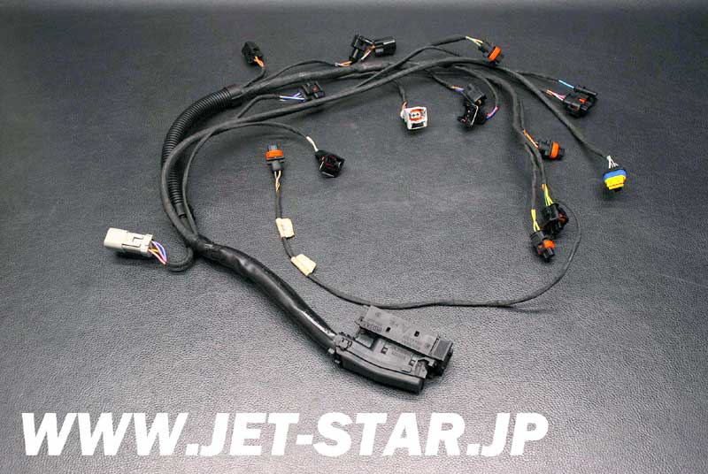 Used 420665205 ENGINE WIRING HARNESS ASS'Y [S321-090]