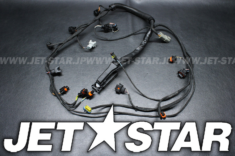 Used 420665205 ENGINE WIRING HARNESS ASS'Y [S3386-04]