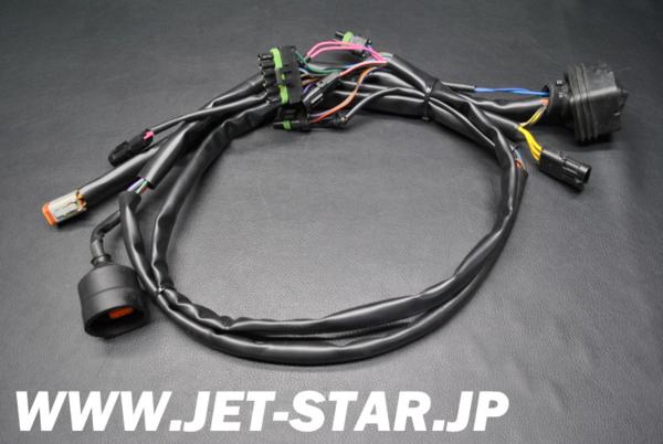 Used 278001088 REAR HARNESS [S363-004]