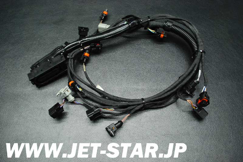 Used 420665205 ENGINE WIRING HARNESS ASS'Y [S378-072]