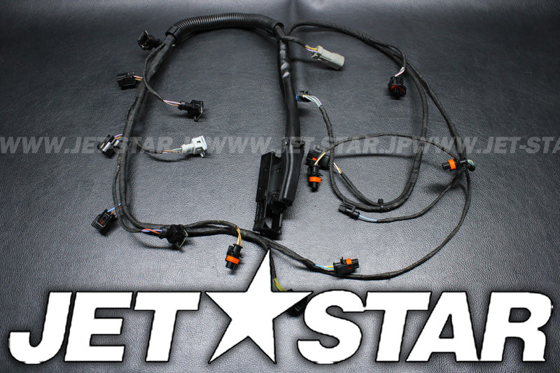 Used 420665205 ENGINE WIRING HARNESS ASS'Y [S3862-26]