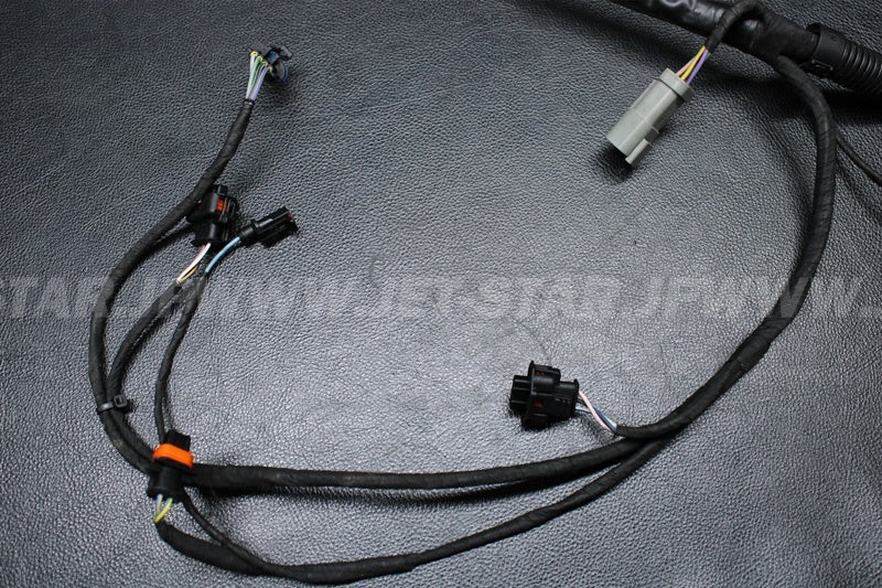 Used 420665205 ENGINE WIRING HARNESS ASS'Y [S3862-26]