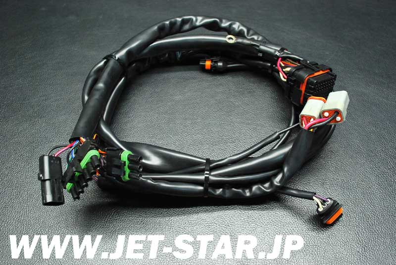 Used 278001510 REAR HARNESS [S438-049]