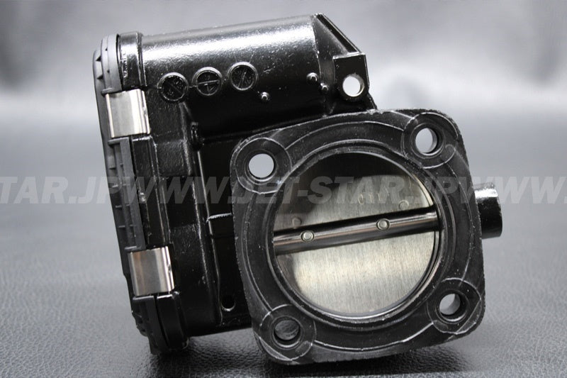Used 420892592 THROTTLE BODY [S4455-01]