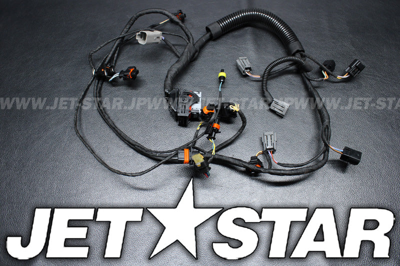 Used 420665206 ENGINE WIRING HARNESS ASS'Y [S4455-64]