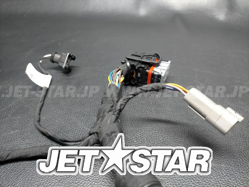 Used 420665206 ENGINE WIRING HARNESS ASS'Y (WITH DEFECT) [S4519-31]