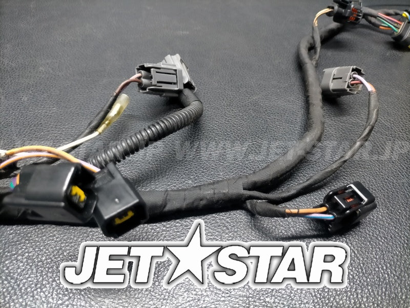 Used 420665206 ENGINE WIRING HARNESS ASS'Y (WITH DEFECT) [S4519-31]