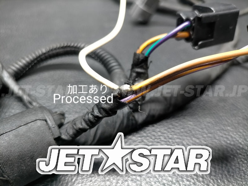Used 420665206 ENGINE WIRING HARNESS ASS'Y (WITH DEFECT) [S4519-31]