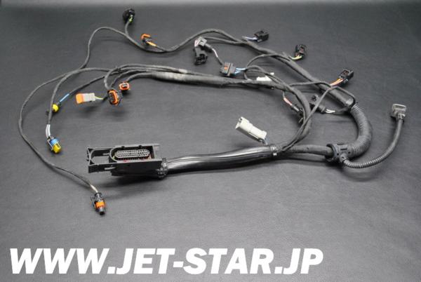 Used 420664952 ENGINE WIRING HARNESS ASS'Y [S538-001]