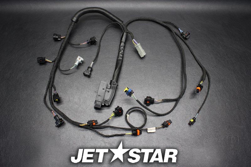 Used 420665205 ENGINE WIRING HARNESS ASS'Y [S546-047]