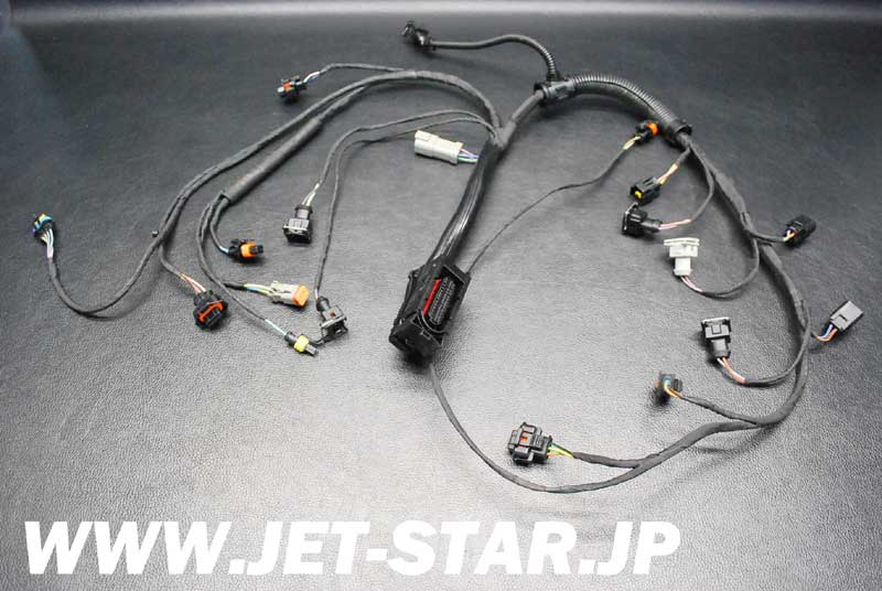 Used 420664952 ENGINE WIRING HARNESS ASS'Y [S563-074]